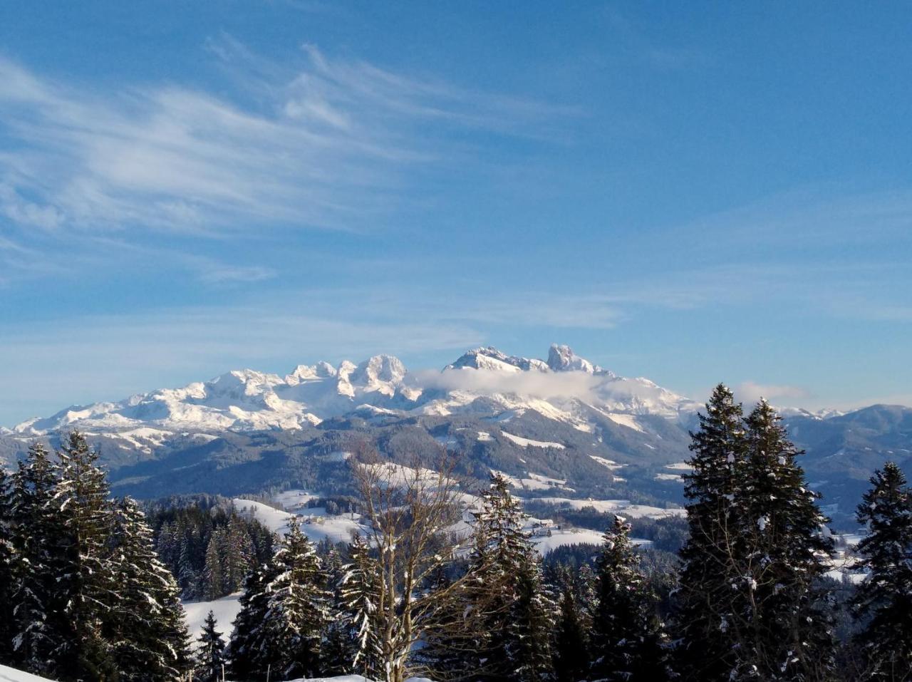 Apart- Und Wellnesshotel Dachsteinresort Russbach am Pass Gschutt Bagian luar foto
