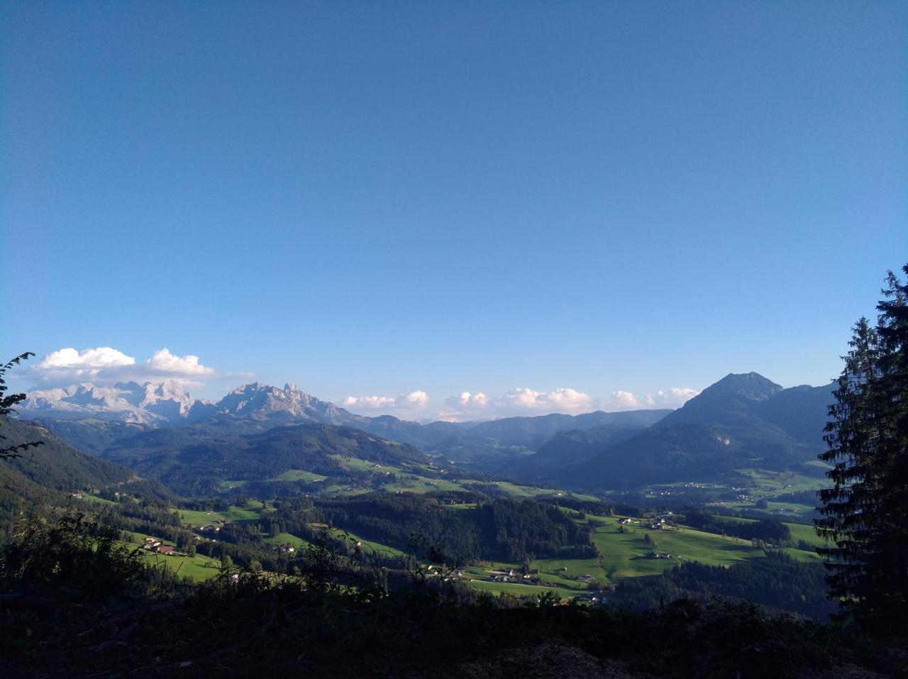 Apart- Und Wellnesshotel Dachsteinresort Russbach am Pass Gschutt Bagian luar foto